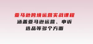 亚马逊跨境运营实战课程：涵盖亚马逊运营、申诉、选品等多个方面-财仔梦想资源网