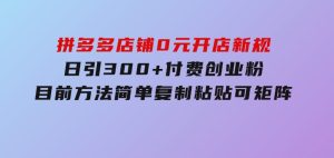 拼多多店铺0元开店新规，日引300+付费创业粉，目前方法简单复制粘贴可矩阵-财仔梦想资源网