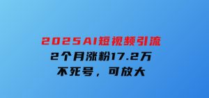 2025AI短视频引流，2个月涨粉17.2万，不死号，可放大-财仔梦想资源网