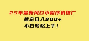 25年最新风口，小程序机推广，稳定日入900+，小白轻松上手！-财仔梦想资源网