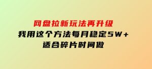 网盘拉新玩法再升级，我用这个方法每月稳定5W+适合碎片时间做-财仔梦想资源网