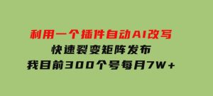 利用一个插件自动AI改写，快速裂变矩阵发布，我目前300个号每月7W+-财仔梦想资源网