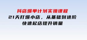 抖店爆单计划实操课程，21天打爆小店，从基础到进阶，快速起店提升销量-财仔梦想资源网