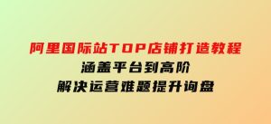阿里国际站TOP店铺打造教程：涵盖平台到高阶，解决运营难题，提升询盘-财仔梦想资源网
