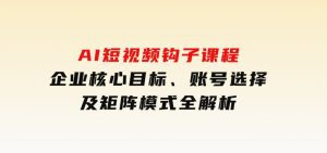 AI短视频钩子课程，企业核心目标、账号选择及矩阵模式全解析-财仔梦想资源网