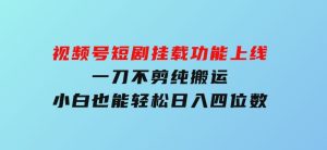 视频号短剧挂载功能上线，一刀不剪纯搬运，小白也能轻松日入四位数-财仔梦想资源网