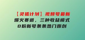 【灵狐计划】视频号最新爆火赛道，三种收益模式，0粉新号条条热门原创-财仔梦想资源网