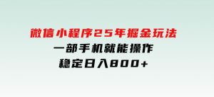 微信小程序25年掘金玩法，一部手机就能操作，稳定日入800+-财仔梦想资源网