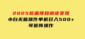 2025，捡漏项目，阅读变现，小白无脑操作，单机日入500+可矩阵操作-财仔梦想资源网