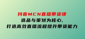 抖音MCN直播带货课：选品与策划为核心,打造高效直播流程,提升带货能力-财仔梦想资源网