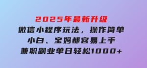 2025年最新升级微信小程序玩法，操作简单，小白、宝妈都容易上手，兼职副业单日轻松1000+-财仔梦想资源网