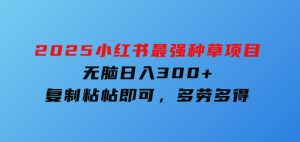 2025小红书最强种草项目，无脑日入300+，复制粘帖即可，多劳多得-财仔梦想资源网