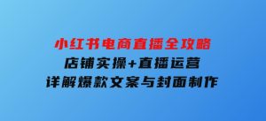 小红书电商直播全攻略，店铺实操+直播运营，详解爆款文案与封面制作-财仔梦想资源网