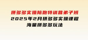拼多多实操陪跑特训营弟子班，2025年2月拼多多实操课程，海量拼多多玩法-财仔梦想资源网
