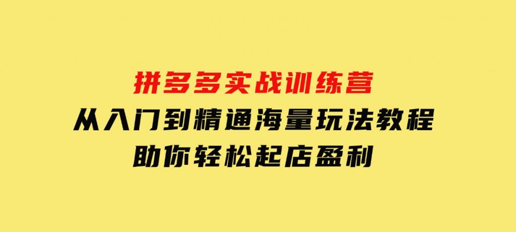 拼多多实战训练营，从入门到精通，海量玩法教程，助你轻松起店盈利-财仔梦想资源网