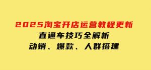2025淘宝开店运营教程更新，直通车技巧全解析，动销、爆款、人群搭建-财仔梦想资源网