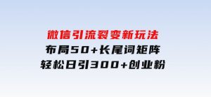 微信引流裂变新玩法：布局50+长尾词矩阵，轻松日引300+创业粉-财仔梦想资源网