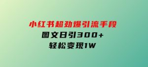 小红书超劲爆引流手段，图文日引300+轻松变现1W-财仔梦想资源网