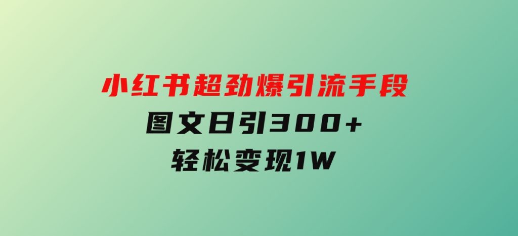 小红书超劲爆引流手段，图文日引300+轻松变现1W-财仔梦想资源网