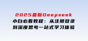 2025最新Deepseek小白必看教程：从注册登录到深度思考，一站式学习体验-财仔梦想资源网