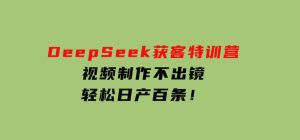 DeepSeek获客特训营，视频制作不出镜，轻松日产百条！-财仔梦想资源网