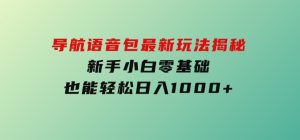 短视频新风口！导航语音包最新玩法揭秘，新手小白零基础也能轻松日入1000+-财仔梦想资源网