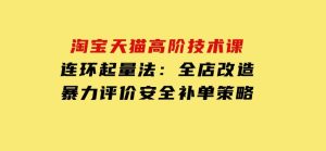 淘宝天猫高阶技术课：连环起量法：全店改造，暴力评价，安全补单策略-财仔梦想资源网