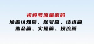 视频号流量密码：涵盖认知篇、起号篇、话术篇、选品篇、实操篇、投流篇-财仔梦想资源网
