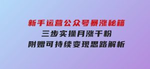 新手运营公众号暴涨秘籍，三步实操月涨千粉，附赠可持续变现思路解析-财仔梦想资源网