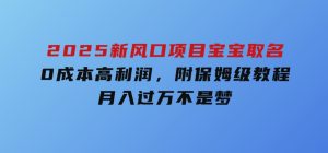 2025新风口项目宝宝取名，0成本高利润，附保姆级教程，月入过万不是梦-财仔梦想资源网