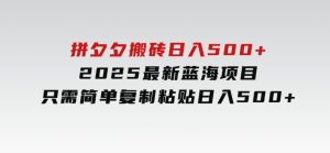 拼夕夕搬砖日入500+2025最新蓝海项目只需简单复制粘贴日入500+-财仔梦想资源网