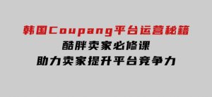 韩国Coupang平台运营秘籍，酷胖卖家必修课，助力卖家提升平台竞争力-财仔梦想资源网