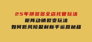 25年拼多多全店托管玩法，矩阵动销裂变玩法如何低风险盈利新手运营秘籍-财仔梦想资源网