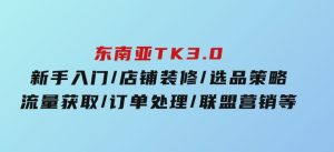东南亚TK3.0：新手入门/店铺装修/选品策略/流量获取/订单处理/联盟营销等-财仔梦想资源网