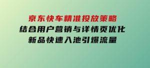 京东快车精准投放策略，结合用户营销与详情页优化，新品快速入池引爆流量-财仔梦想资源网