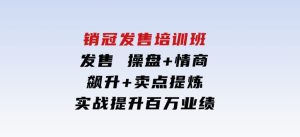 销冠发售培训班：发售操盘+情商飙升+卖点提炼，实战提升百万业绩-财仔梦想资源网