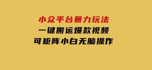 小众平台暴力玩法，一键搬运爆款视频，可矩阵小白无脑操作-财仔梦想资源网