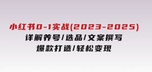小红书0-1实战课(2023-2025)，详解养号/选品/文案撰写/爆款打造/轻松变现-财仔梦想资源网