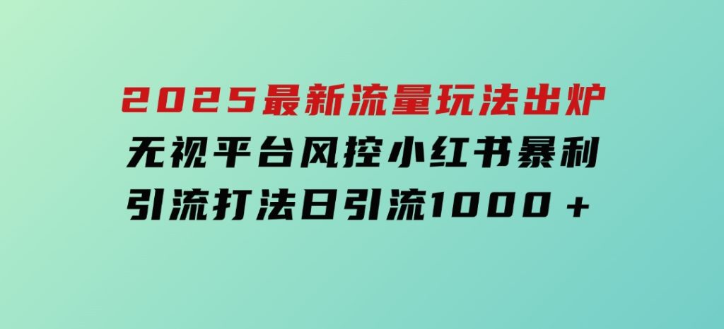 2025最新流量玩法出炉，无视平台风控，小红书暴利引流打法，日引流1000＋-财仔梦想资源网