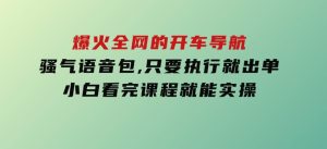 爆火全网的开车导航骚气语音包,只要执行就出单，小白看完课程就能实操-财仔梦想资源网