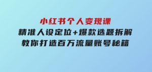 小红书个人变现课：精准人设定位+爆款选题拆解，教你打造百万流量账号秘籍-财仔梦想资源网