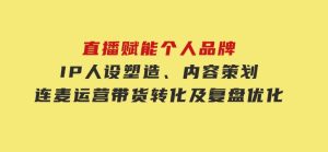直播赋能个人品牌：IP人设塑造、内容策划、连麦运营、带货转化及复盘优化-财仔梦想资源网