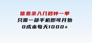 信息录入，几秒钟一单，只需一部手机即可开始，0成本，每天1000+-财仔梦想资源网