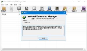IDM下载器(InternetDownloadManager)v6.42.30中文绿色版-财仔梦想资源网