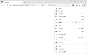 360极速浏览器X版v22.3.3120.0绿色便携版-财仔梦想资源网