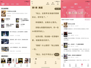 喵爪小说v4.8.1.1解锁会员-财仔梦想资源网