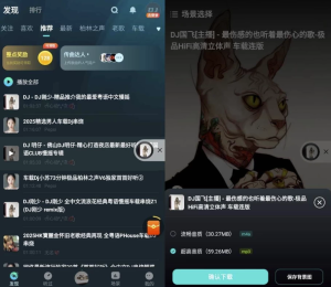 DJ串烧集v2.4.5免费版-财仔梦想资源网