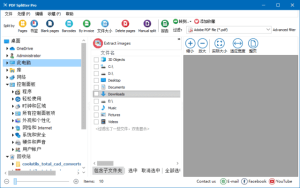 CoolUtilsPDFSplitter(PDF分割工具)Prov6.1.0.79多语便携版-财仔梦想资源网