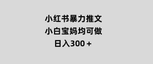小红书暴力推文，小白宝妈均可做，日入300＋-财仔梦想资源网