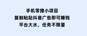 手机零撸小项目，复制粘贴抖音广告即可赚钱，平台大水，任务不限量-财仔梦想资源网